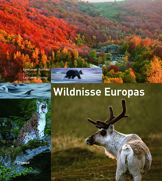 Wildnisse Europas