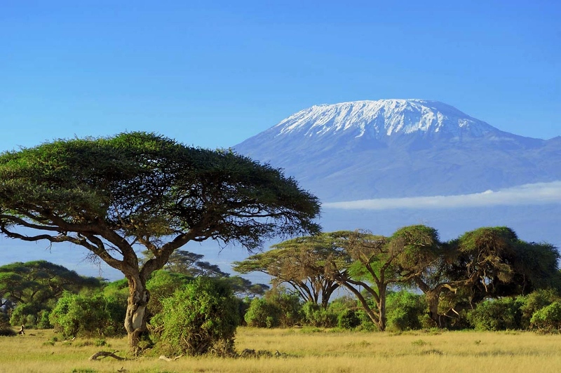 DAKS: Kilimanjaro mit optimaler H%EF%BF%BDhenanpassung