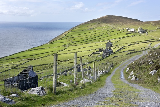 Irland Wild Atlantic Way - Andreas Knk