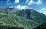 Planskopf vom Kitzkoepfl