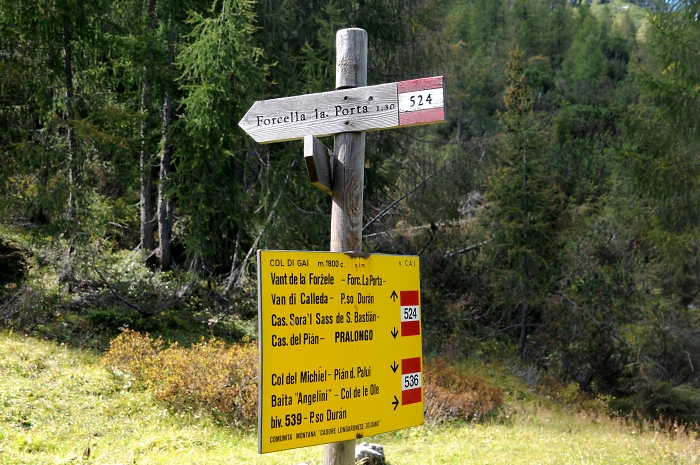 [41] Wegweiser in der Tamergruppe / Foto: Kalle Kubatschka