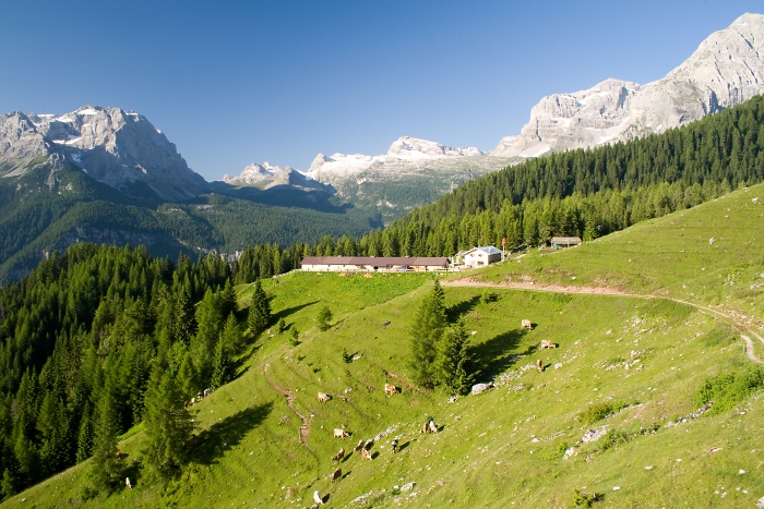 [109] Trentino / Foto: Joachim Burghardt