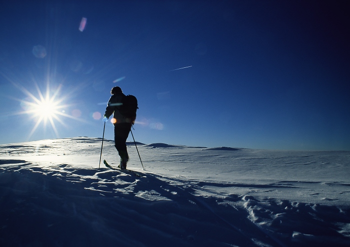 [167] Skitourengeher im Gegenlicht / Foto: Herbert Raffalt