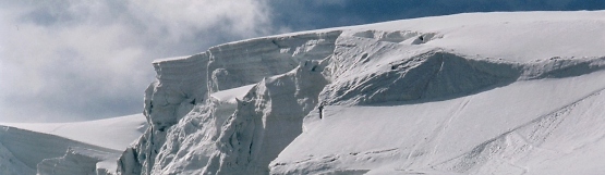 [174] Ortler ©Guus Reinartz