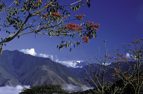 Bolivien, Diamir Erlebnisreisen