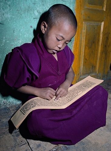 Ausstellung Indiens Tibet - Tibets Indien / Foto: Peter von Ham