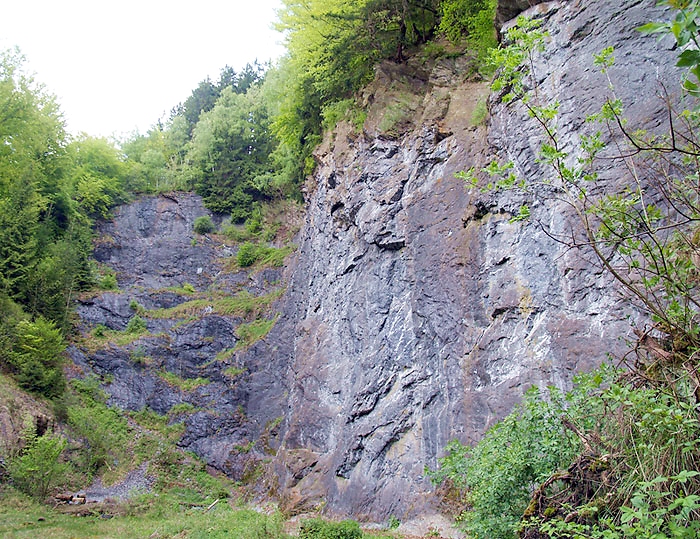 Klettergebiet Bestwig