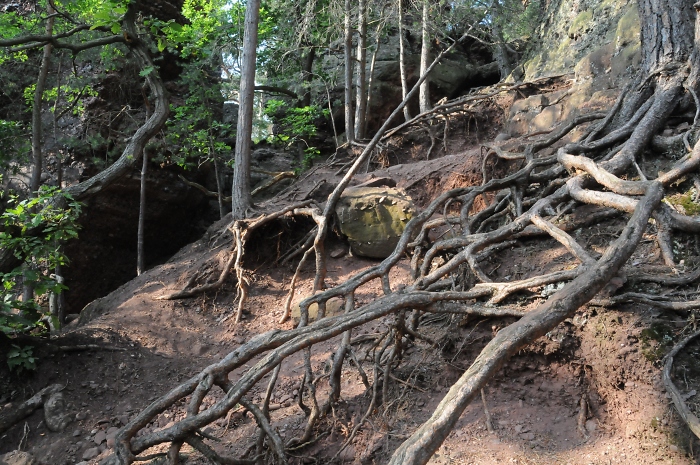 Bodenerosion an der Aussichtswarte