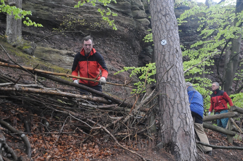 Wegeverbauungen am Affenfels werden erneuert