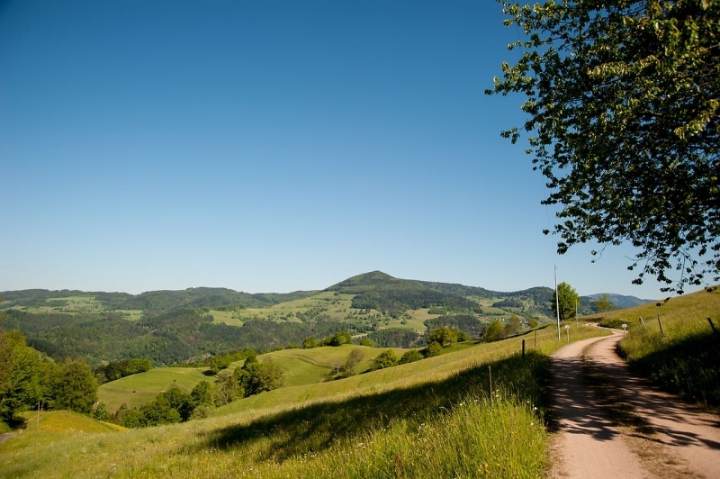 Schwarzwald - Direttissima wandern