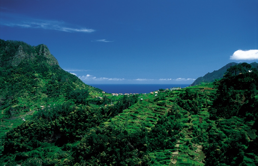 Madeira - Die Blumen-Insel