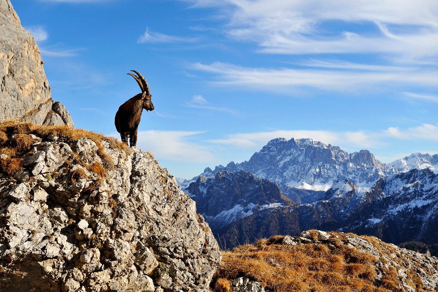 Dolomiten