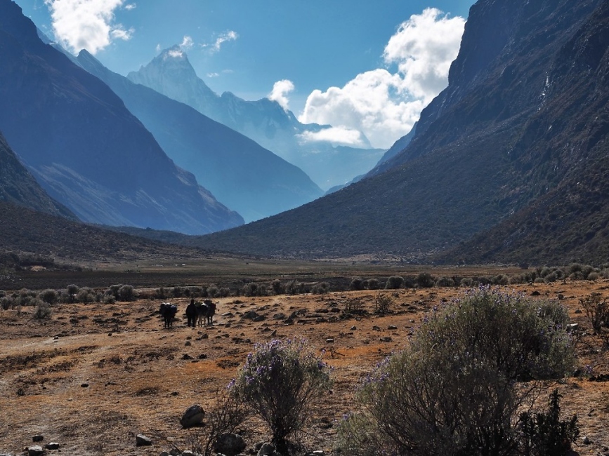 Die Cordillera Blanca in Peru - Mit der Alpinistengruppe auf Fernreise