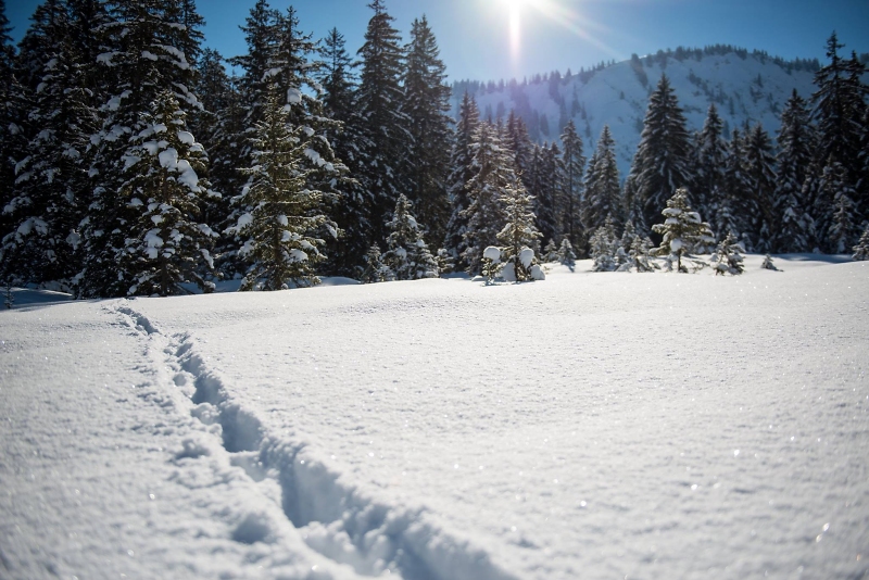 Winter in den Bergen