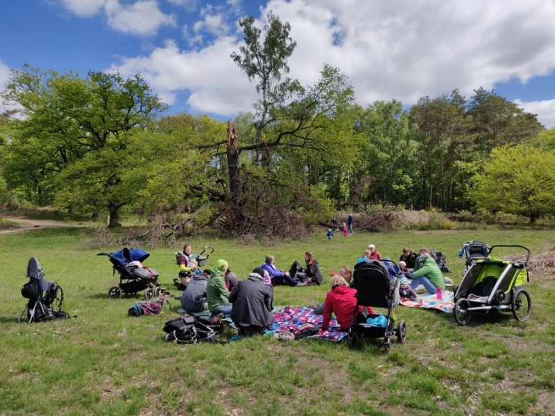 F%C3%BCr Kinderwagen geeignete Wanderungen im K%C3%B6lner Umland mit den Luchsen