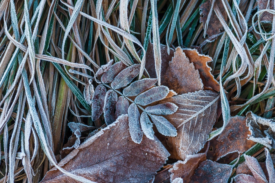 Frohe Weihnachten und einen besinnlichen Advent / Foto unsplash