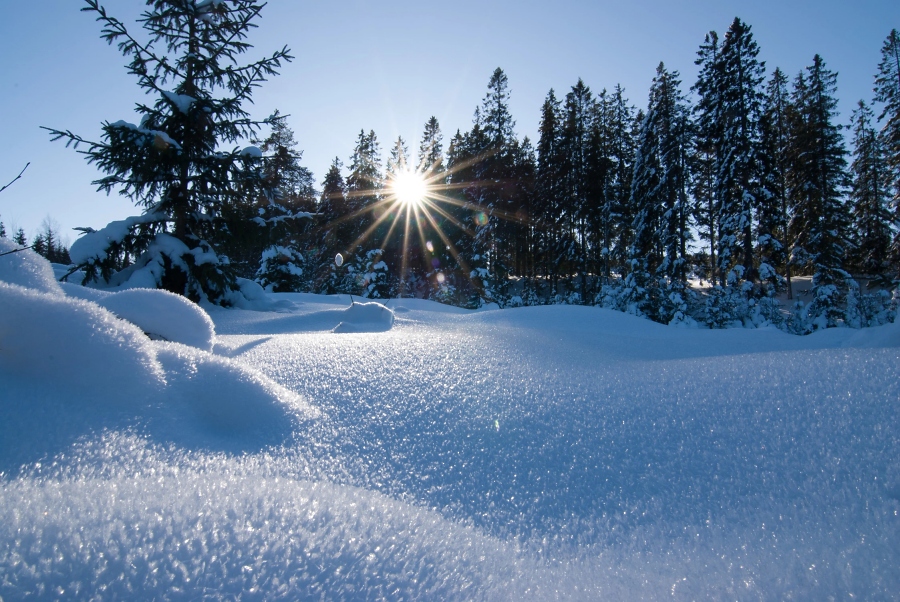 Frohe Weihnachten und einen sch%EF%BF%BDnen Advent / Foto unsplash