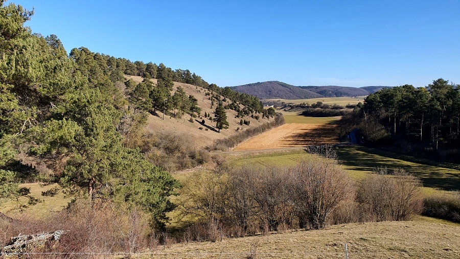 Wacholderheide auf dem Halsberg -  Kalle Kubatschka