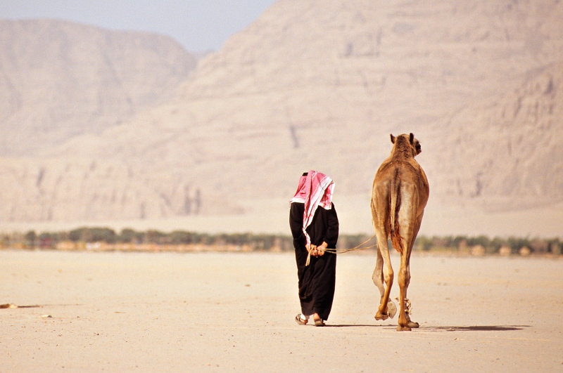 Florian Harms und Lutz J%EF%BF%BDkel: Arabien erleben