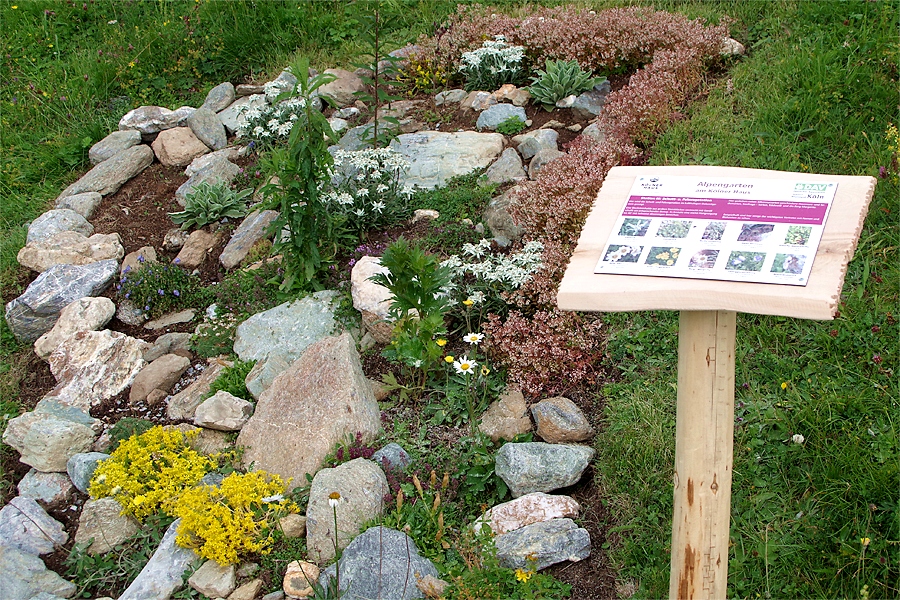 Blumenstation mit Infotafel - Foto Hanno Jacobs