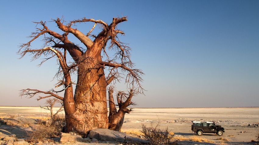 Cologne Capetown - Mit dem Landrover durch Afrika