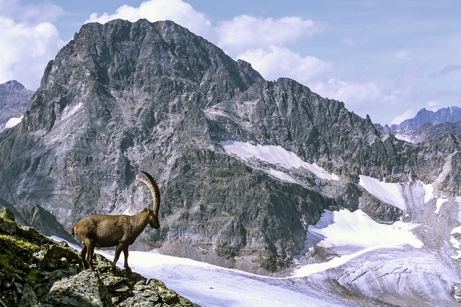 Montafon - Andreas K%EF%BF%BD%EF%BF%BDnk