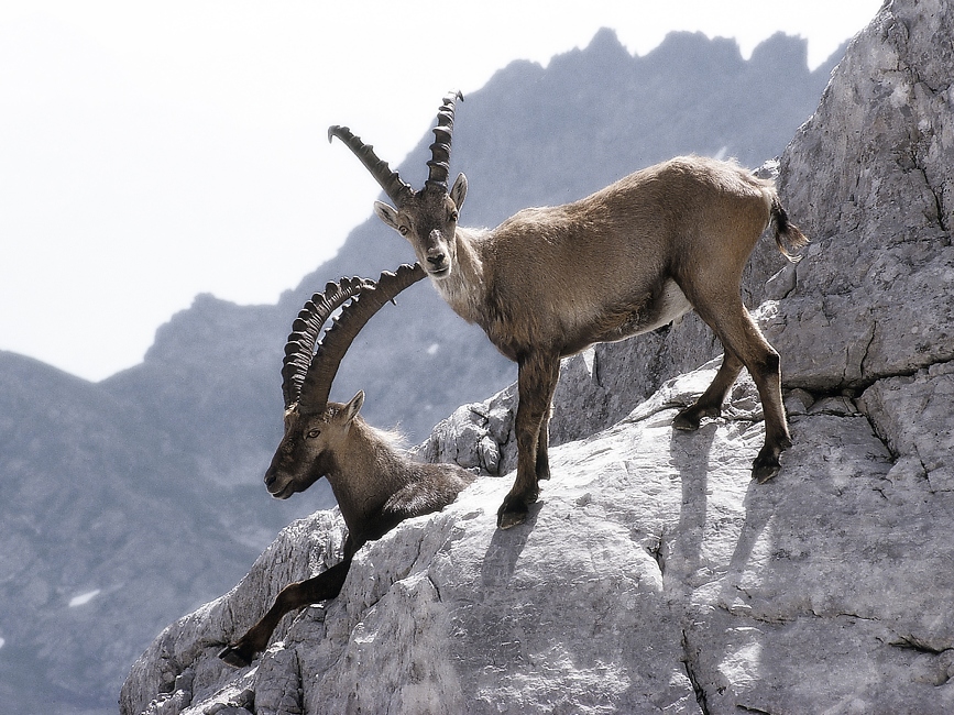 Montafon - Andreas K%C3%BCnk