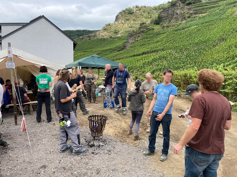 Hilfe bei der Weinlese an der Ahr