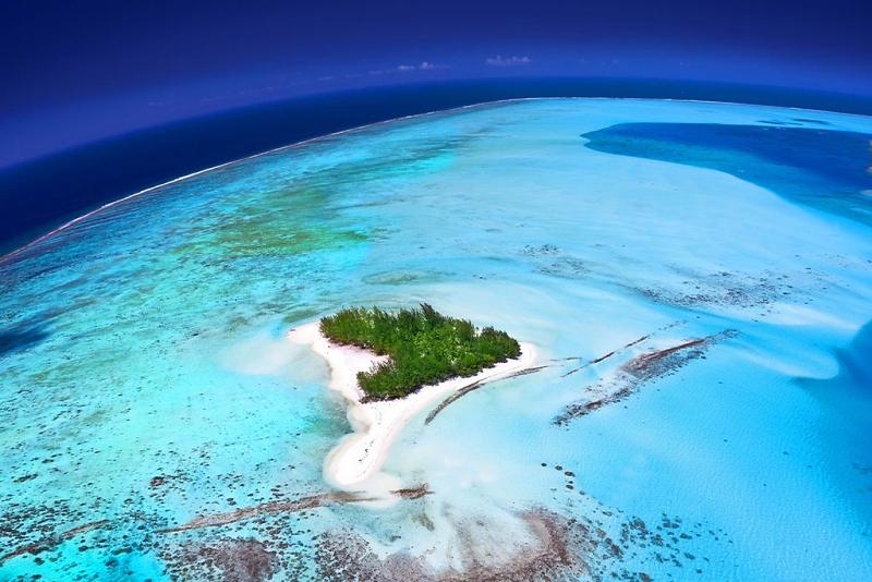 Paradies Erde - Reiner Harscher