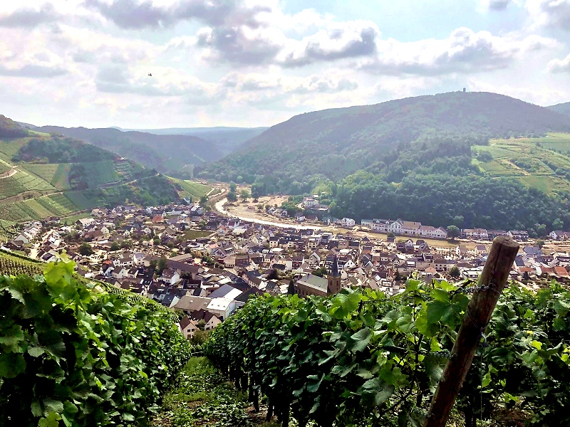 Die steilen Weinberge an der Ahr