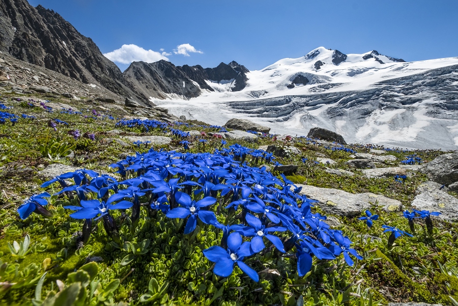 AlpinVisionen: Heinz Zak - Tirol