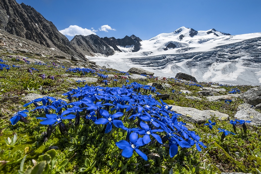AlpinVisionen: Tirol - Magie der Berge - Heinz Zak
