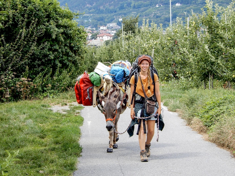 Lotta Lubkoll: Ein Esel zum Pferde stehlen - Grenzgang