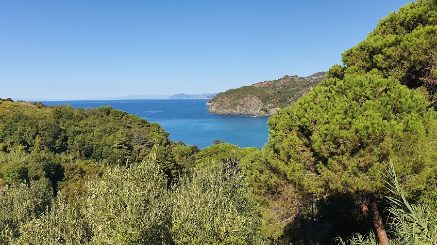 Bahnwandern an der ligurischen K%C3%BCste - oberhalb von Levanto / Foto: Kalle Kubatschka