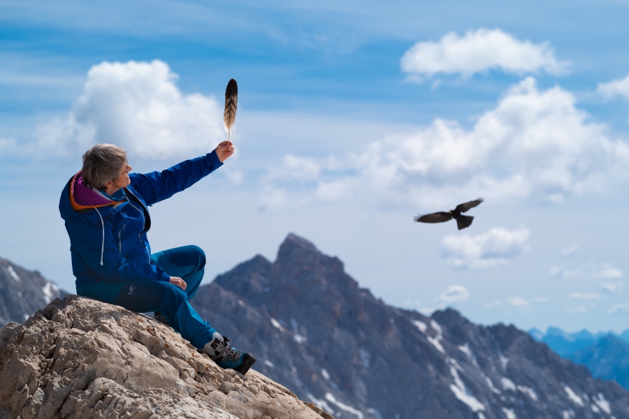 AlpinVisionen: Auf Adlerschwingen %C3%BCber den Alpen - Helmut Achatz