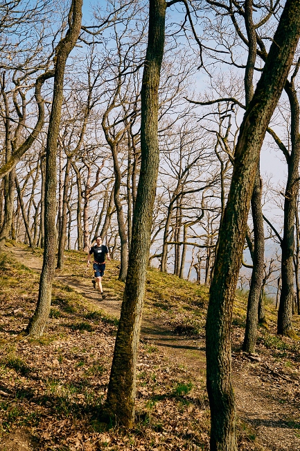 Alpinkader NRW: Ausdauerlauf durch den Wald im Ahrtal / Foto: Sebastian Wolf/DAV NRW