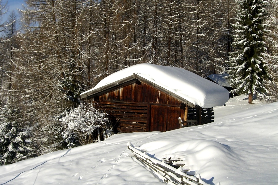 Frohe Weihnachten und einen besinnlichen Advent / Foto: pexels.com