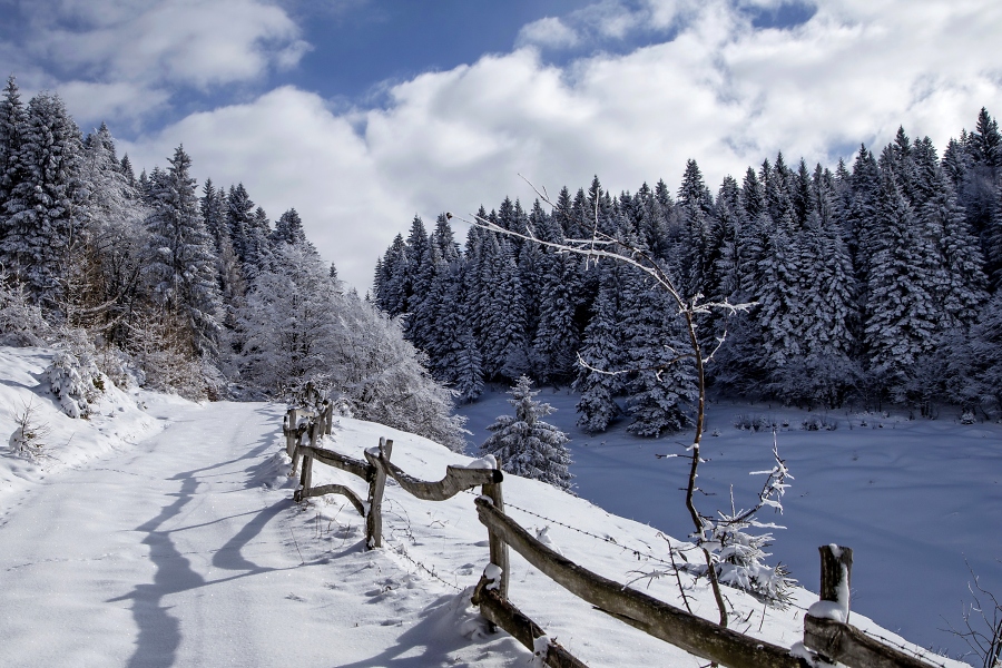 Frohe Weihnachten und einen besinnlichen Advent / Foto: pixabay