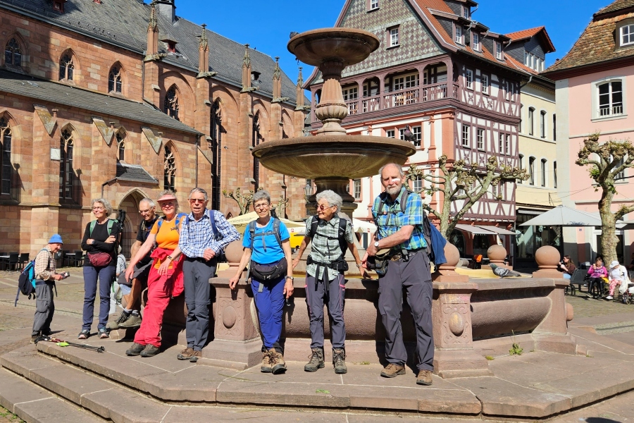 Auf dem Pf%C3%A4lzer Weinsteig von Meisenheim bis Neustadt an der Weinstra%C3%9Fe / Foto: DAV Rheinland-K%C3%B6ln