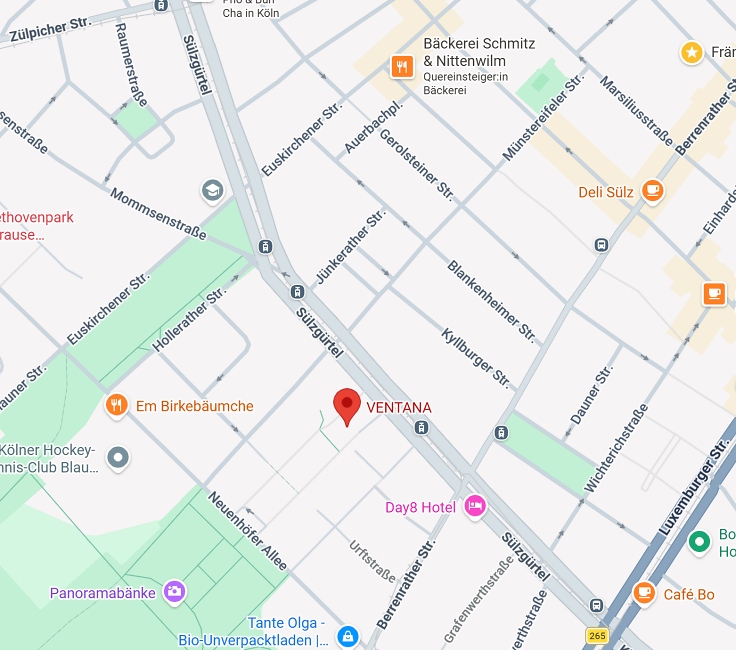 Ventana / Google Maps