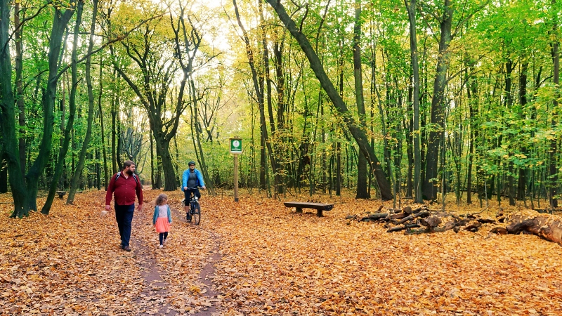 Gebt acht aufeinander / Foto: Pixabay