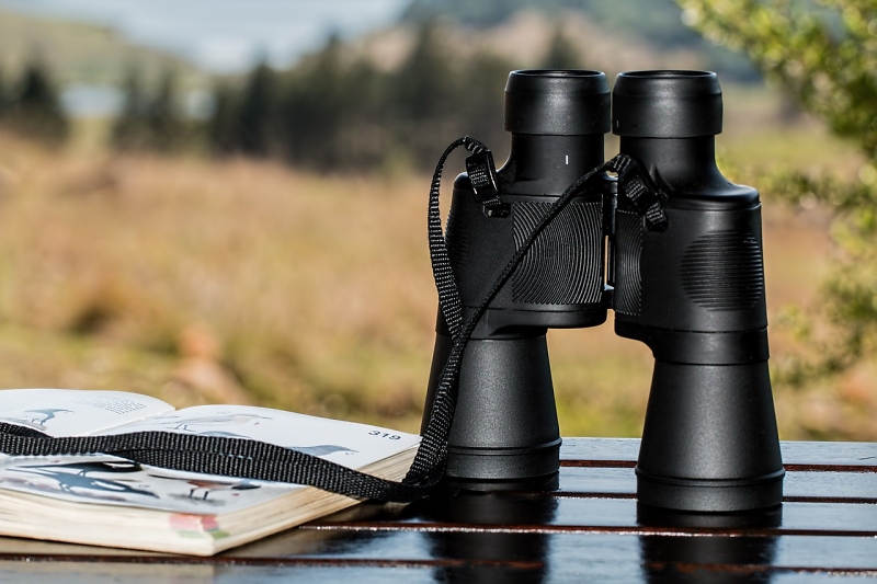 Fernglas zur Naturbeobachtung / Foto: Pixabay