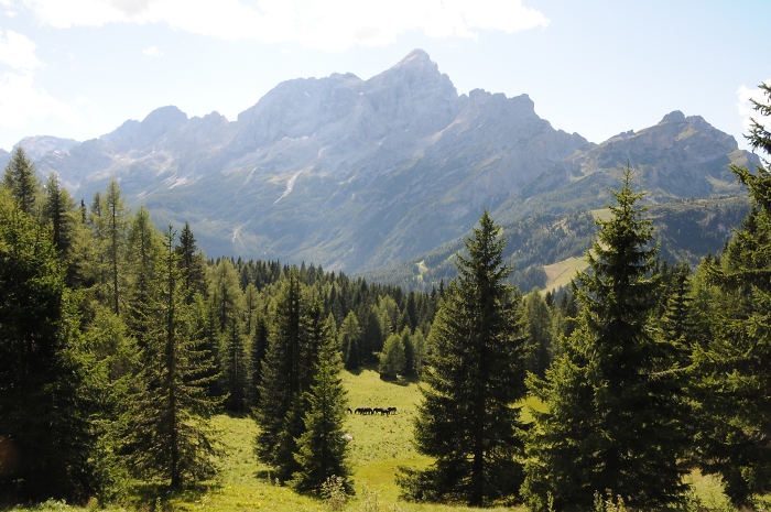 [50] Pferdealm unterhalb des Monte Pelmo / Foto: Kalle Kubatschka