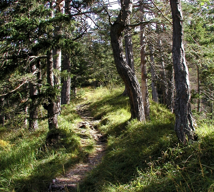 [216] Bergweg / Foto: Kalle Kubatschka