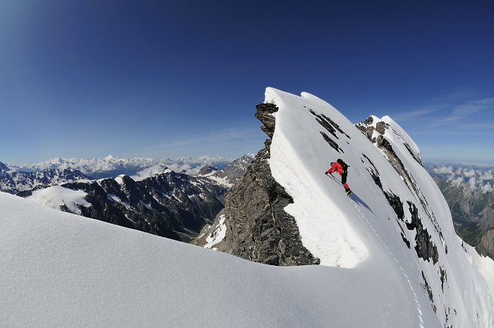 [226] Bl%C3%BCmilisalphorn / Foto: Ralf Gantzhorn