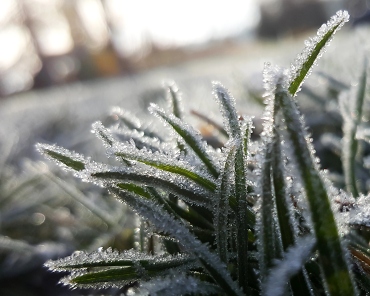 Foto: unsplash